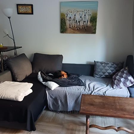 Rez-De-Jardin Grand Studio Apartment Кро-де-Кан Екстериор снимка